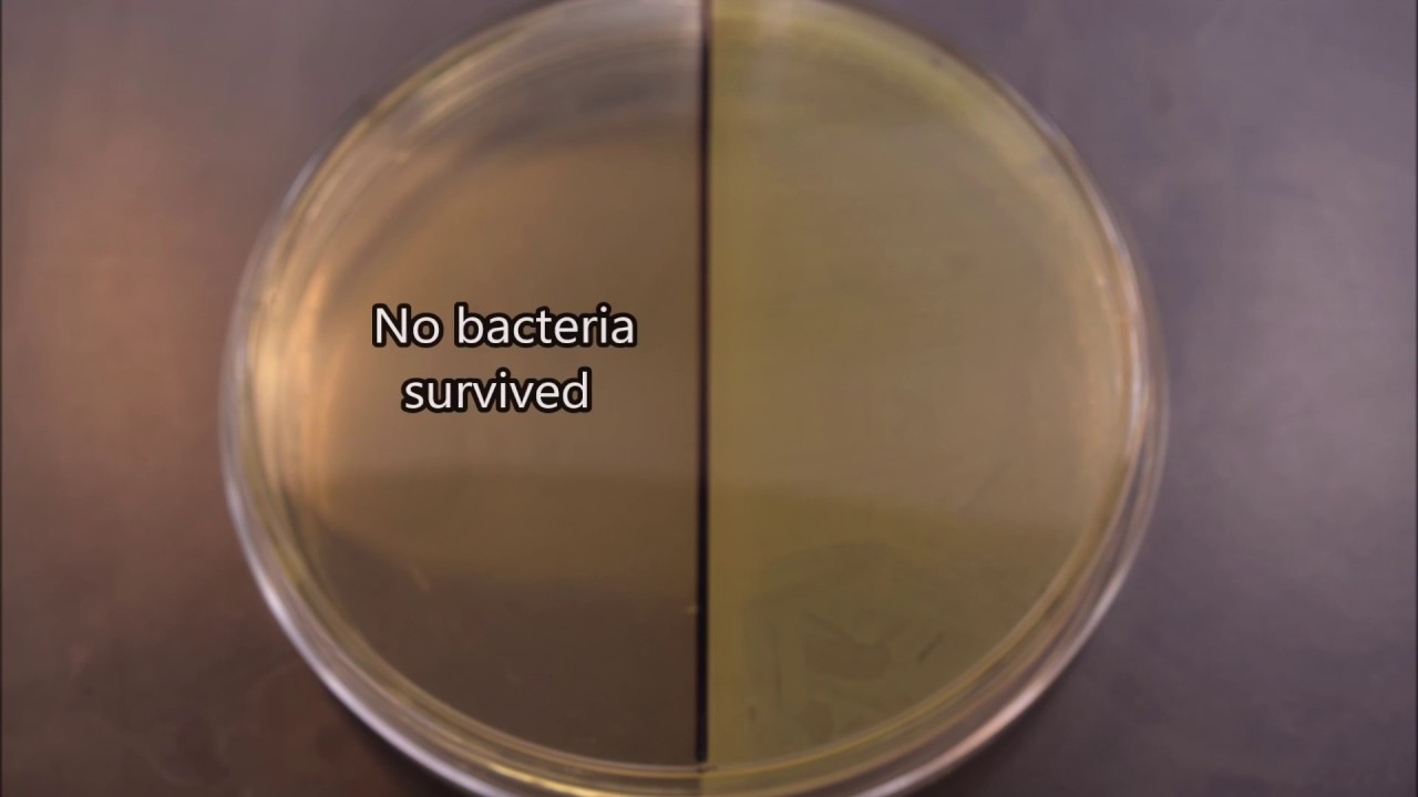 Read more about the article UV effects on bacteria time-lapse